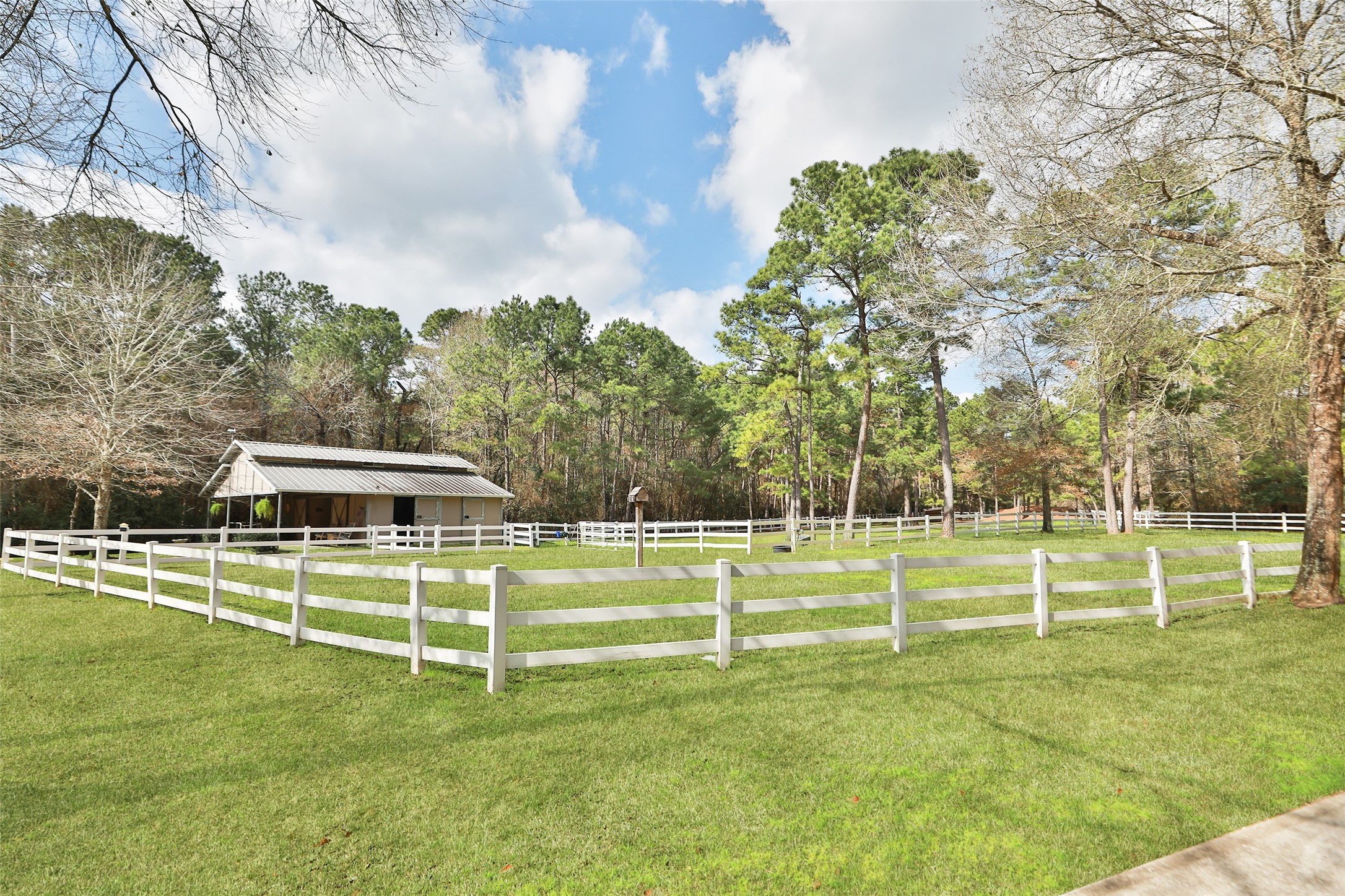 7514 Saddle Blanket Drive Waller, TX 77484 - Photo 44 of 50 Another view of this spacious property. You will love the direct access to the riding trails for hours of riding or even walking.