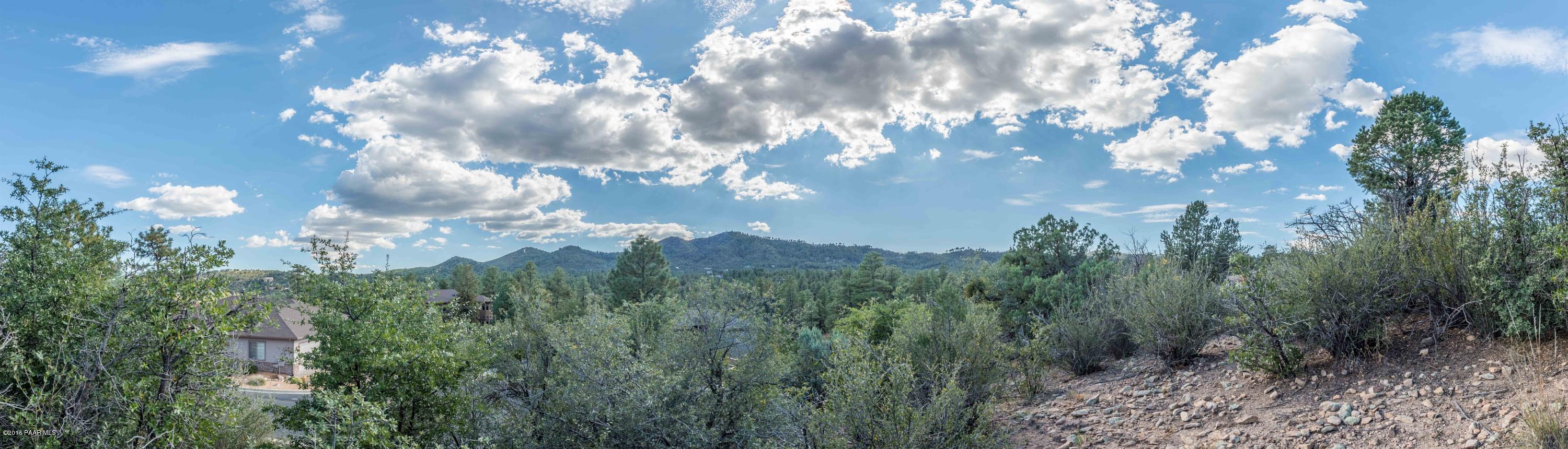 005_Panoramic View