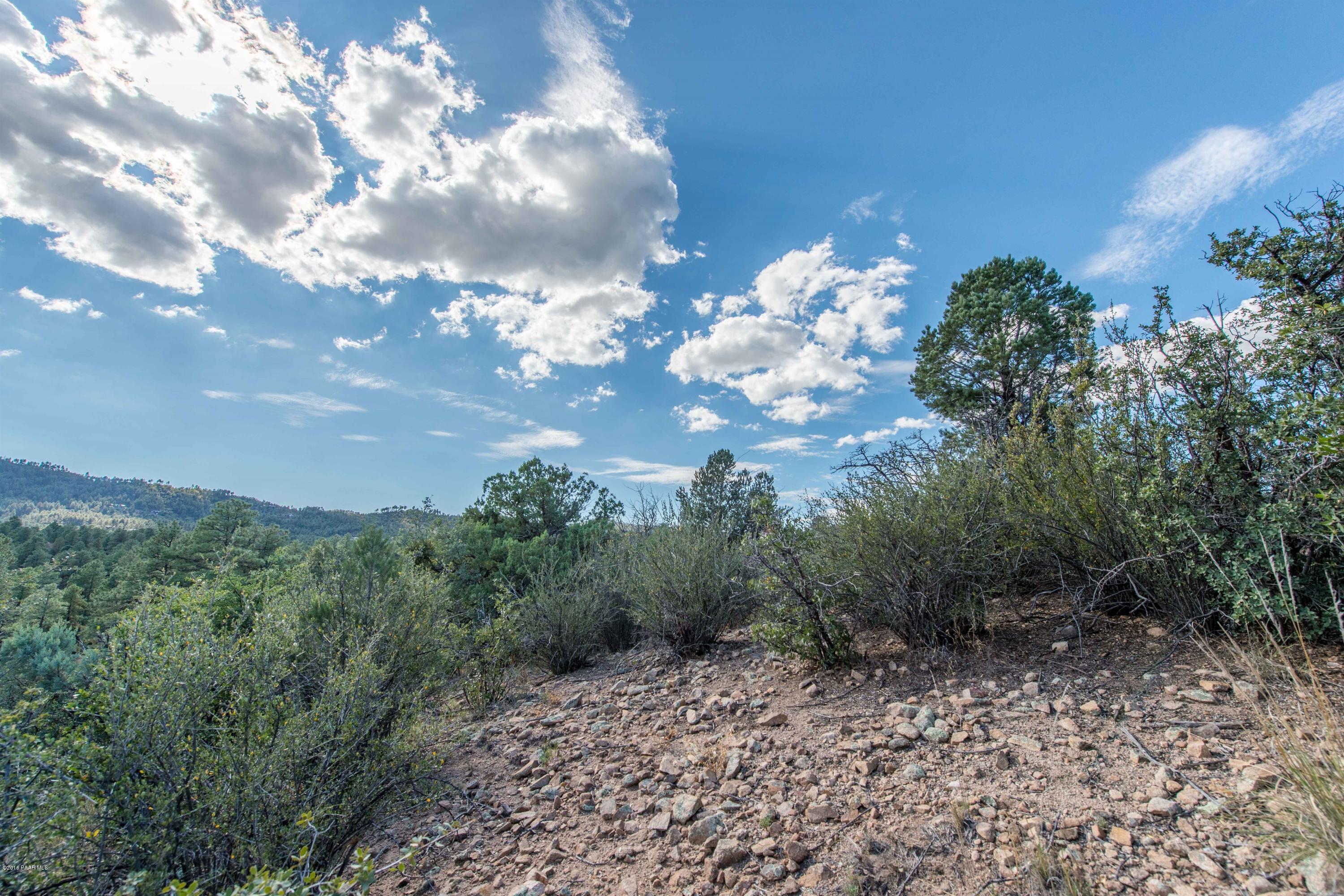 1491 Eureka Ridge Way Prescott, AZ 86303 - Photo 9 of 11 008_Lot