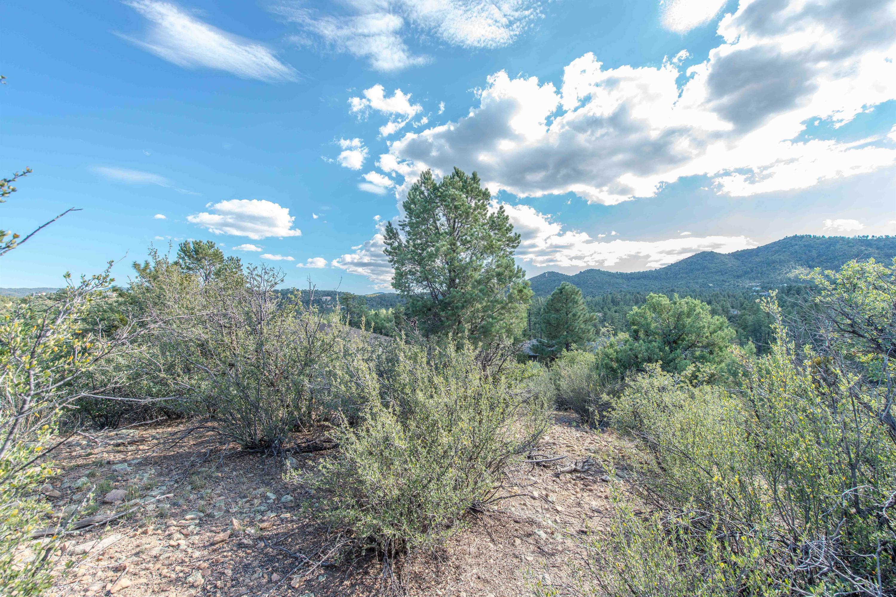 1491 Eureka Ridge Way Prescott, AZ 86303 - Photo 10 of 11 009_Lot