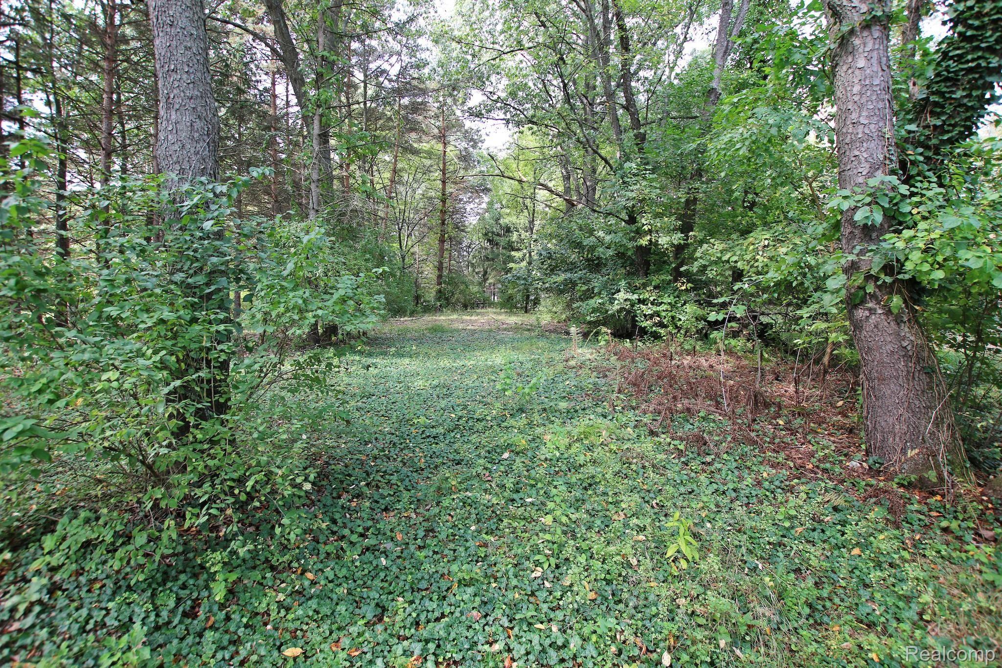3700 Rohr Road Lake Orion, MI 48359 - Photo 52 of 55 52) Backyard.jpg