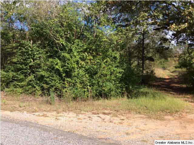 0 Glade Road, Unit 9 Talladega, AL 35160 - Photo 3 of 7