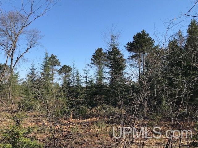 31-acres Weckerle Road Pembine, WI 54156 - Photo 6 of 10