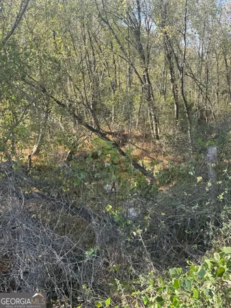 $209,000 | 9000 Highway 53, Marble Hill, GA 30148