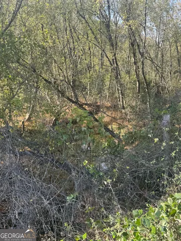 $209,000 | 9000 Highway 53, Marble Hill, GA 30148