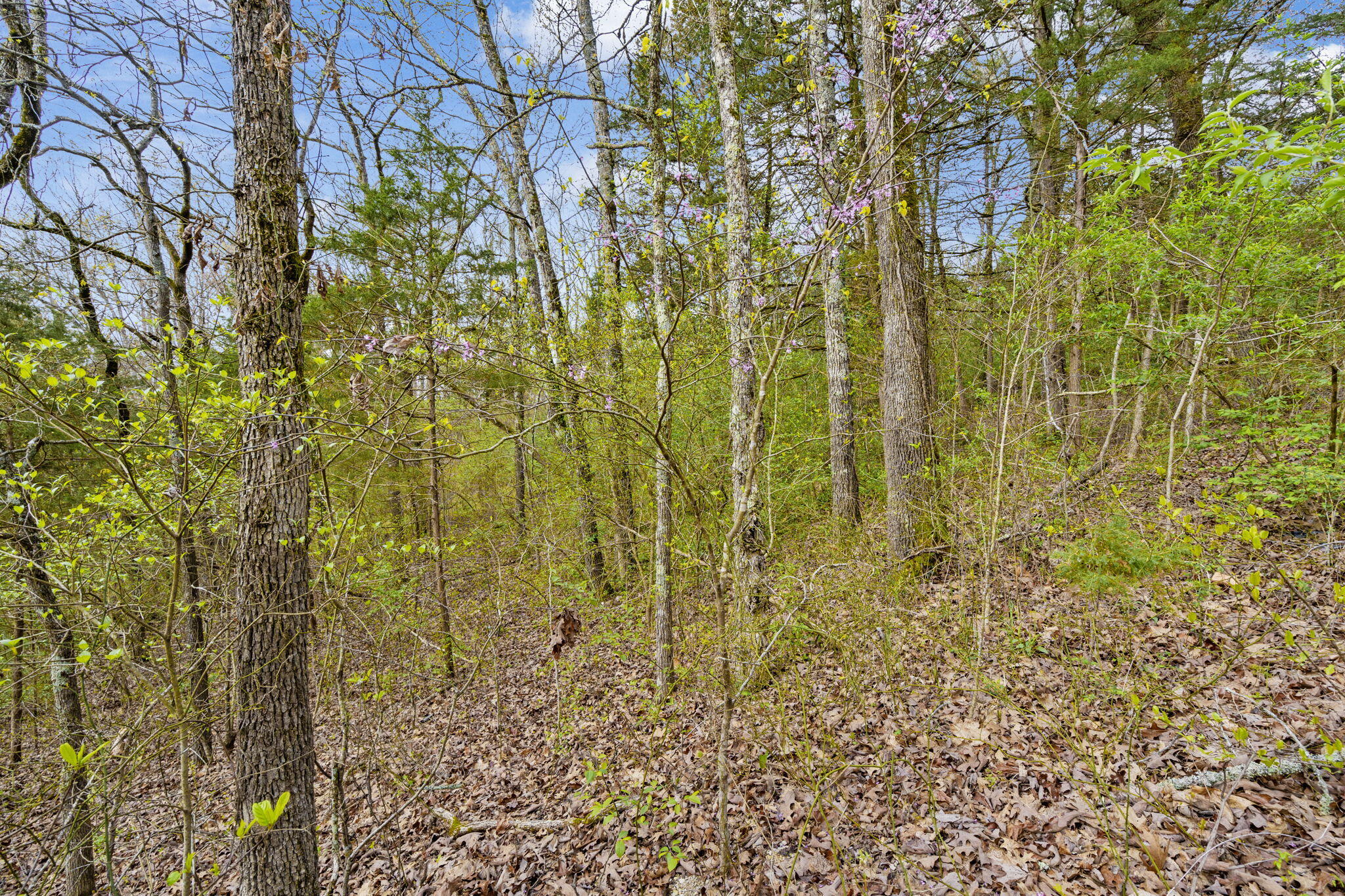 Lot 52 Richard Road Rockaway Beach, MO 65740 - Photo 8 of 42 Richard Road (4)