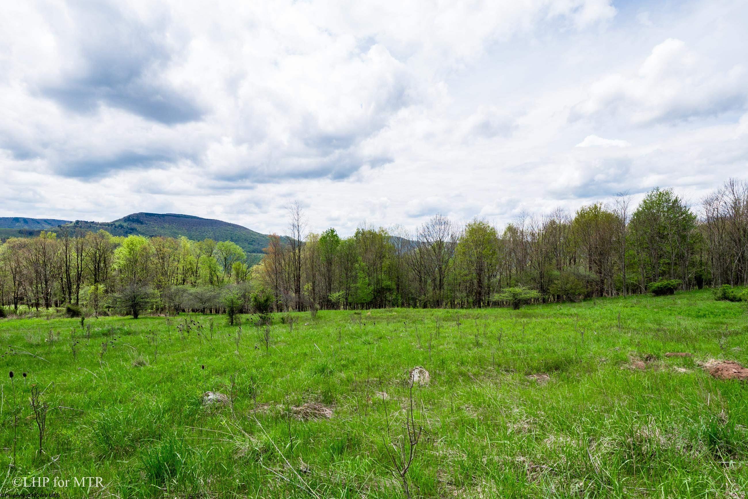 28 Meadows Road West Harman, WV 26270 - Photo 26 of 36 Gallery Image 26