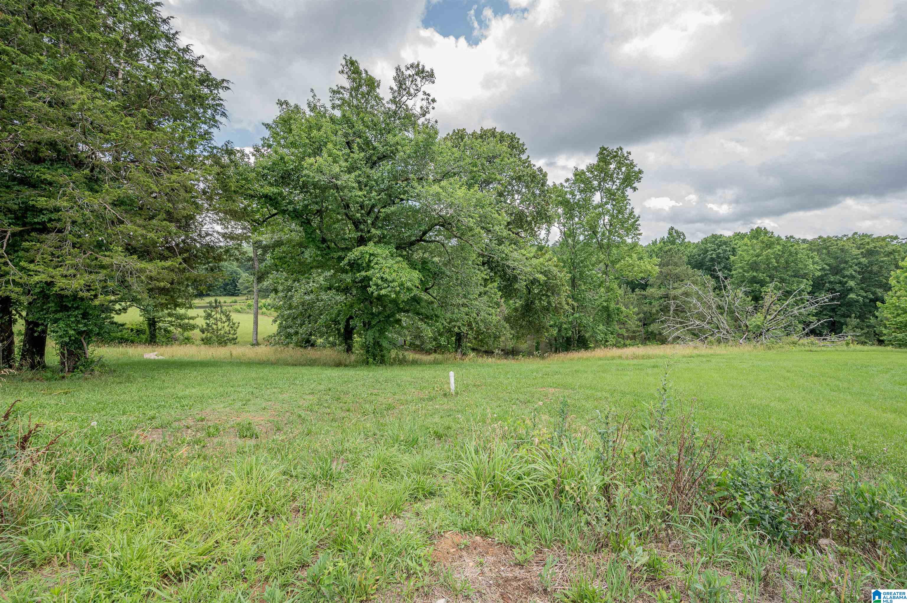 7900 Pine Mountain Road Springville, AL 35146 - Photo 28 of 30