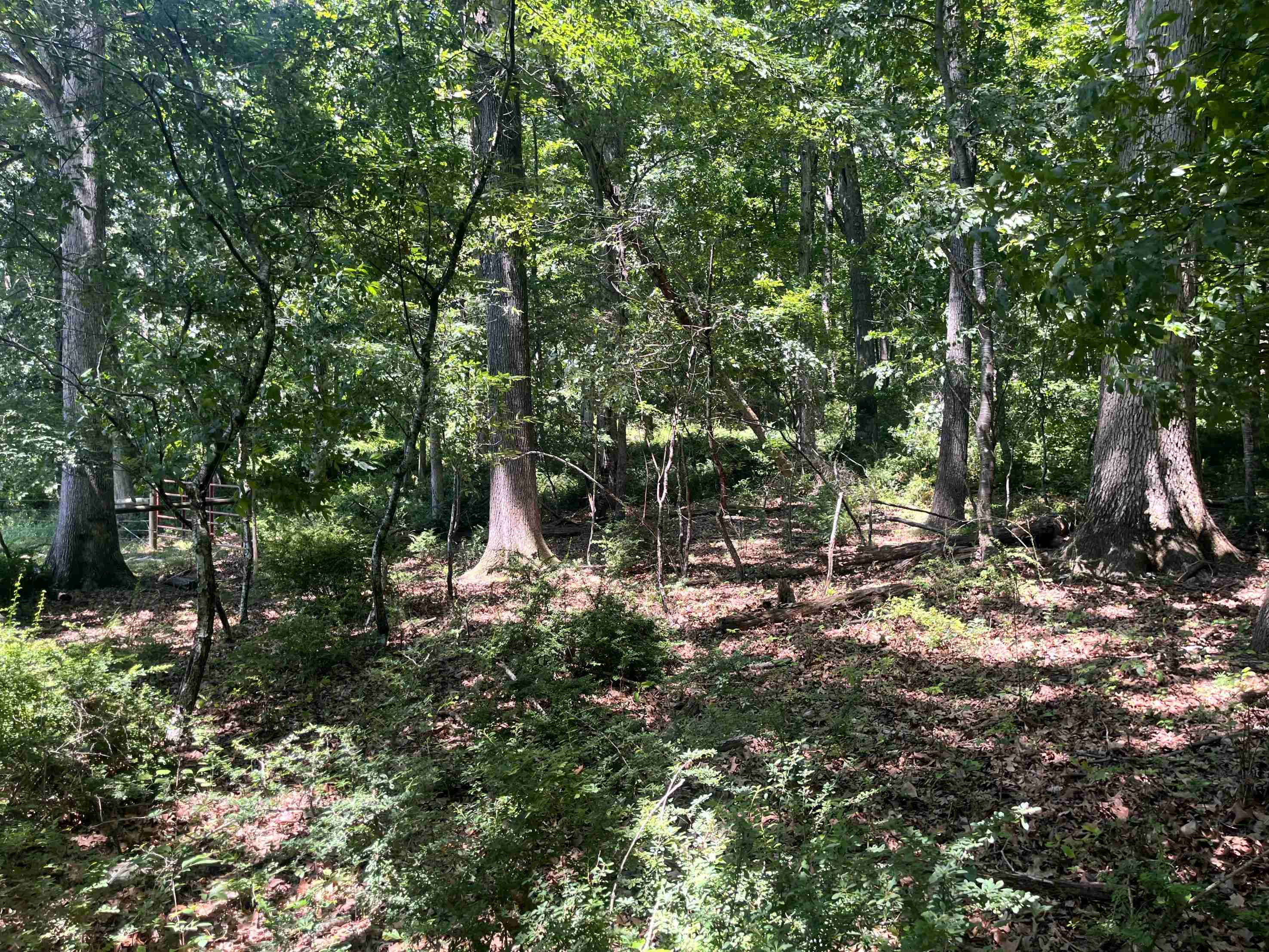 Tbd Spottswood Road Raphine, VA 24472 - Photo 8 of 11