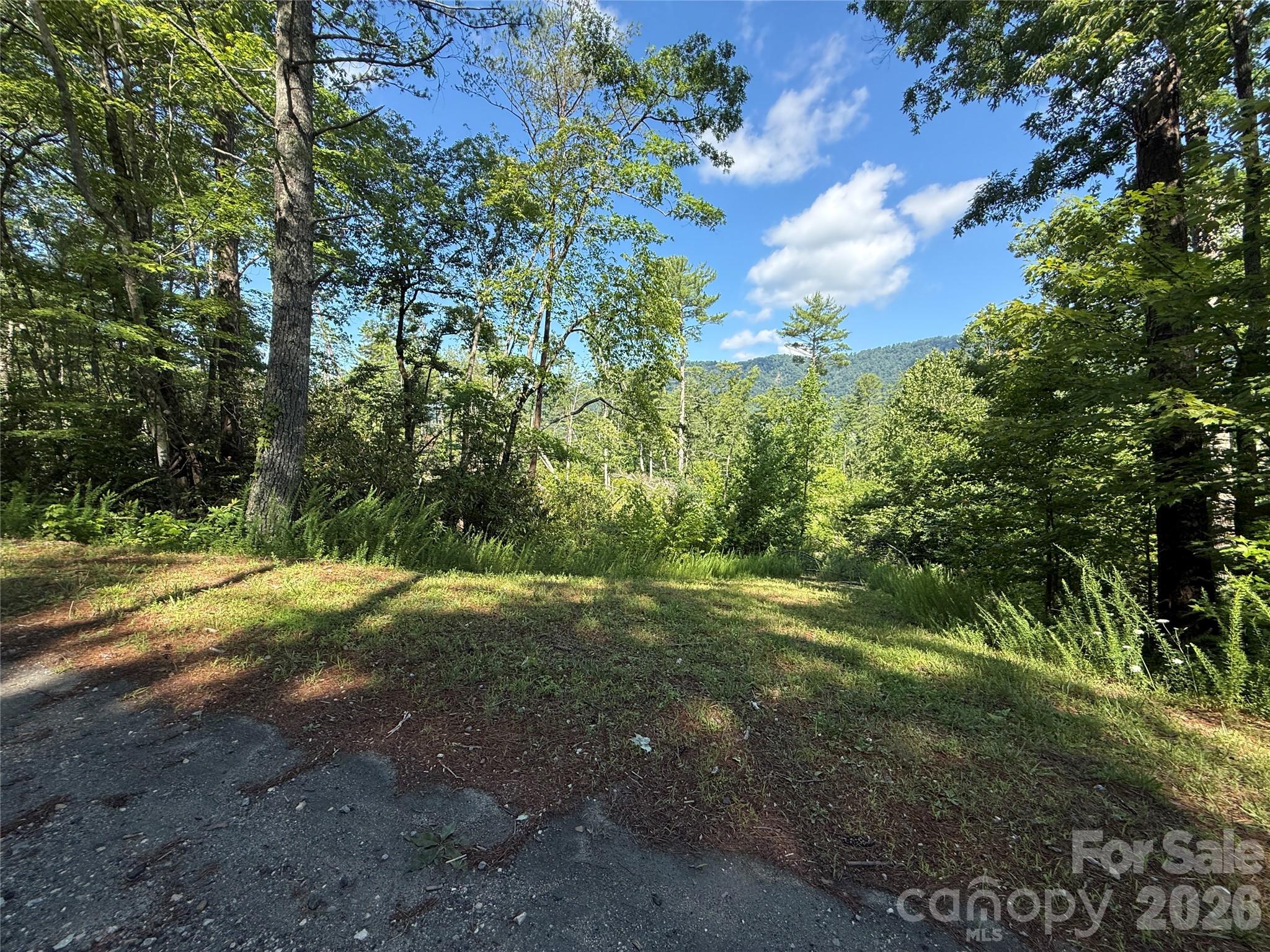 999 Fox Rdg Trail, Unit 7 Marion, NC 28752 - Photo 7 of 13