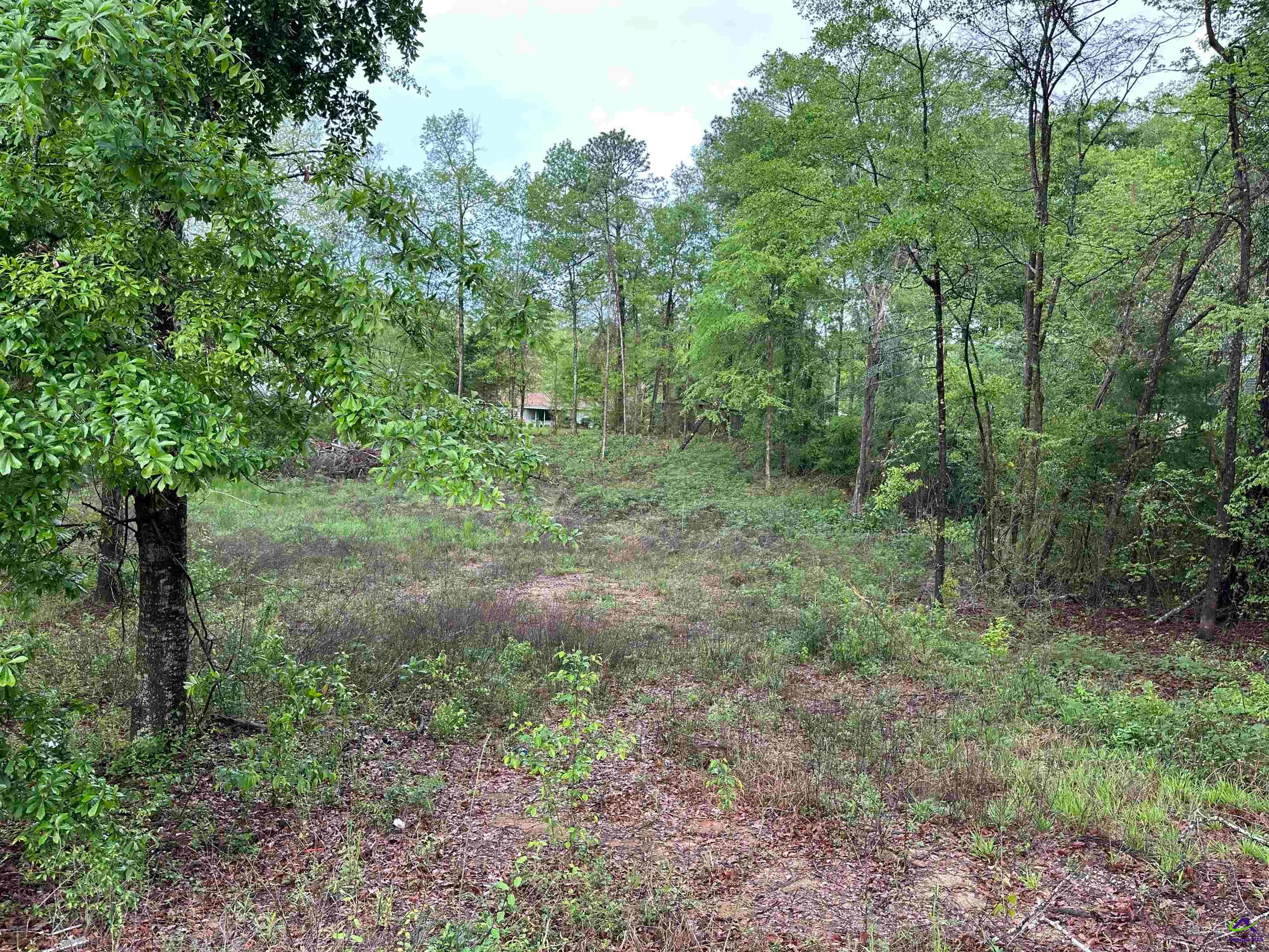 7515 Goodall Mill Road Macon, GA 31216 - Photo 2 of 4 Gallery Image 2