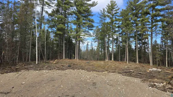 $274,900 | Xx13.7 Xx13.7 Crane Lake Road, Crane Lake, MN 55725