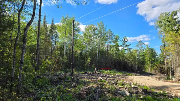 $274,900 | Xx13.7 Xx13.7 Crane Lake Road, Crane Lake, MN 55725
