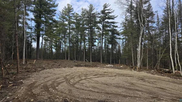 $274,900 | Xx13.7 Xx13.7 Crane Lake Road, Crane Lake, MN 55725
