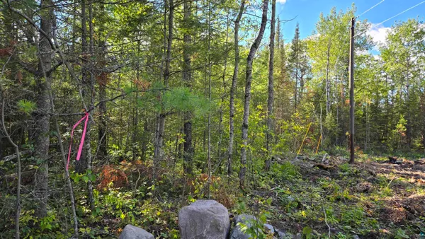 $274,900 | Xx13.7 Xx13.7 Crane Lake Road, Crane Lake, MN 55725