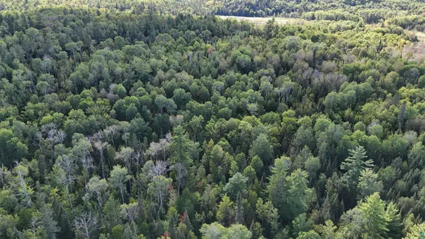 $274,900 | Xx13.7 Xx13.7 Crane Lake Road, Crane Lake, MN 55725