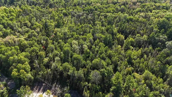 $274,900 | Xx13.7 Xx13.7 Crane Lake Road, Crane Lake, MN 55725