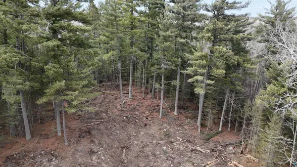 $274,900 | Xx13.7 Xx13.7 Crane Lake Road, Crane Lake, MN 55725
