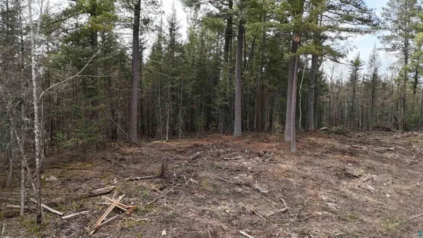 $274,900 | Xx13.7 Xx13.7 Crane Lake Road, Crane Lake, MN 55725