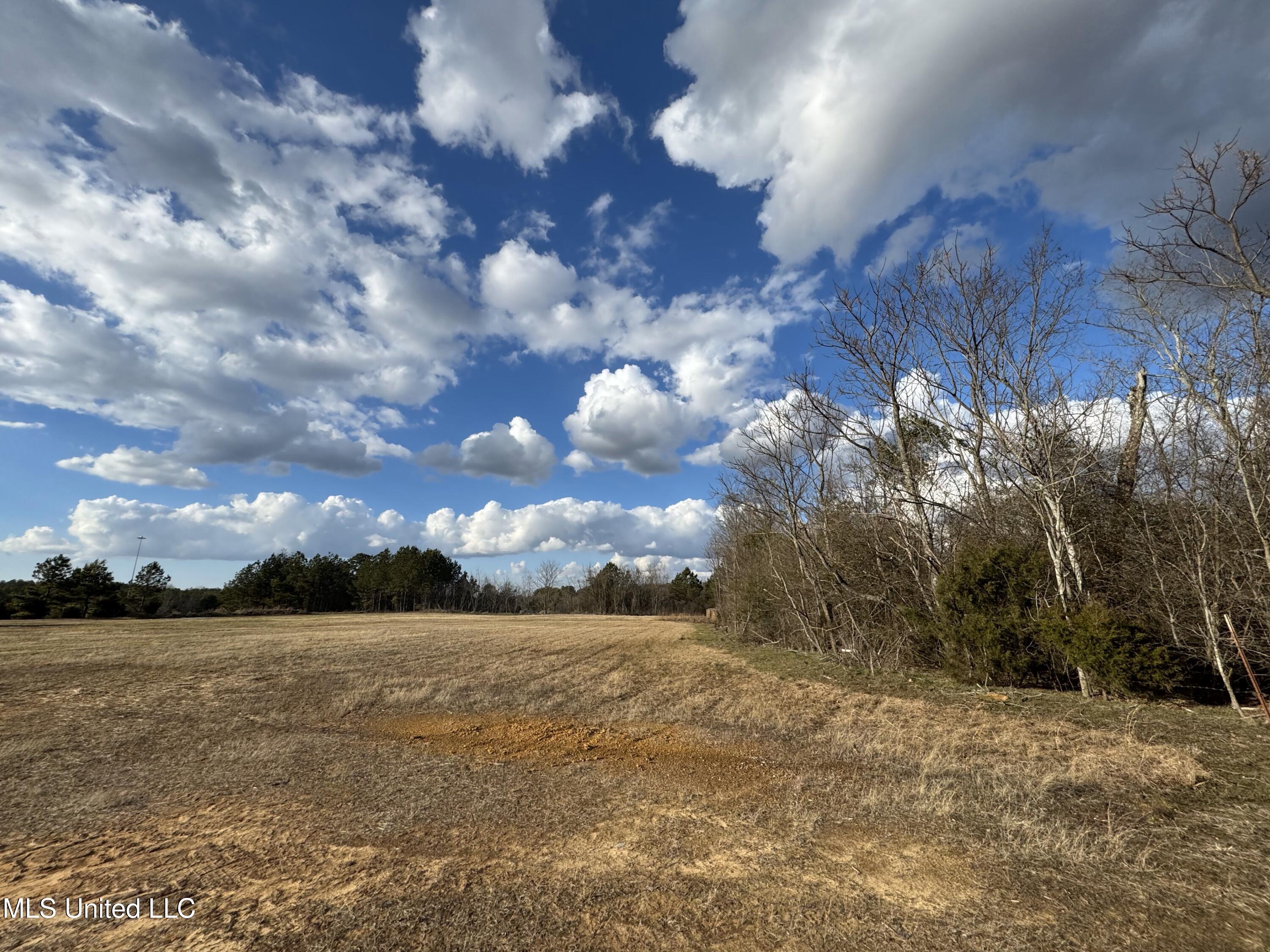 0 Northeast Frontage Road Winona, MS 38967 - Photo 11 of 30 IMG_1799
