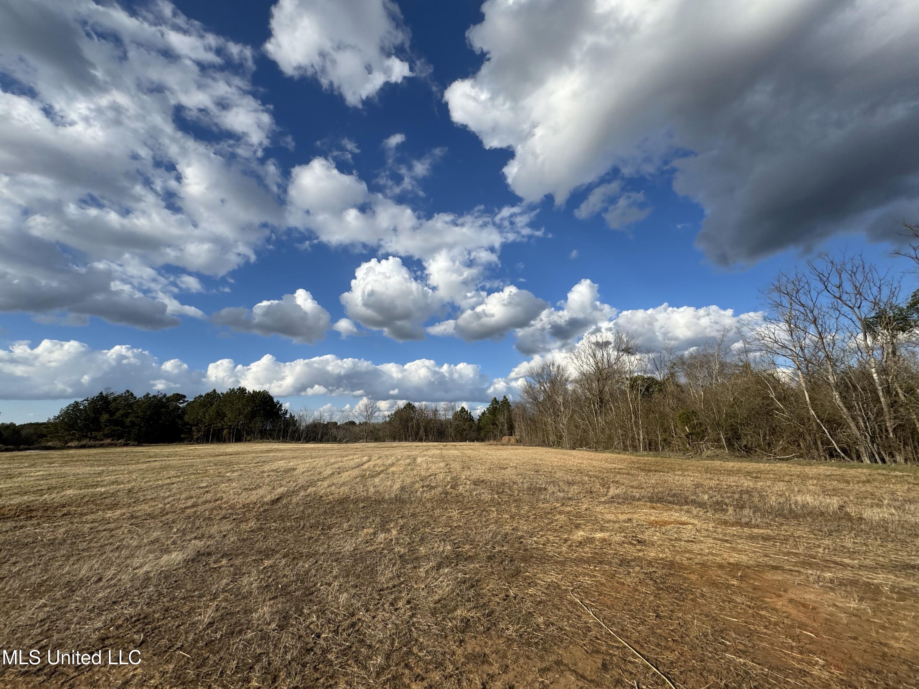 0 Northeast Frontage Road Winona, MS 38967 - Photo 12 of 30 IMG_1800
