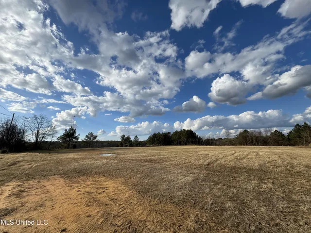 $750,000 | 0 Northeast Frontage Road, Winona, MS 38967
