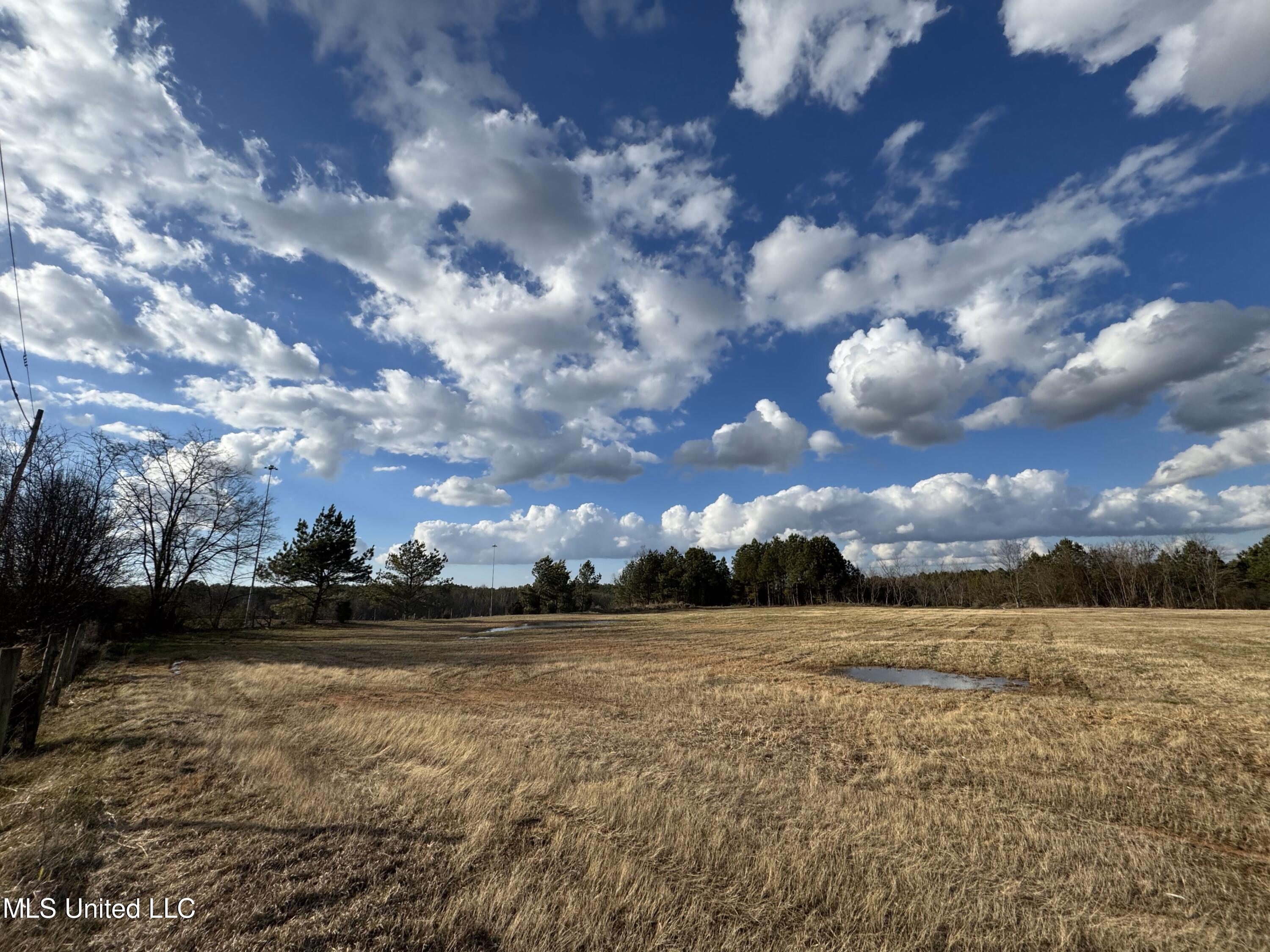 0 Northeast Frontage Road Winona, MS 38967 - Photo 14 of 30 IMG_1803