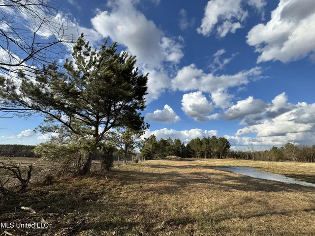 $750,000 | 0 Northeast Frontage Road, Winona, MS 38967