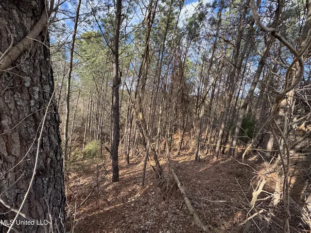 $750,000 | 0 Northeast Frontage Road, Winona, MS 38967