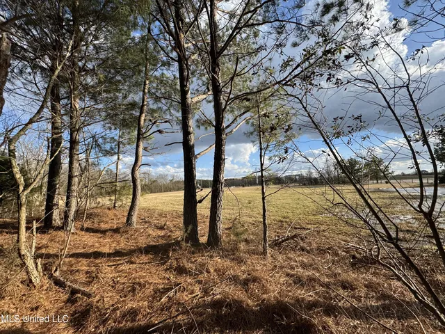 $750,000 | 0 Northeast Frontage Road, Winona, MS 38967
