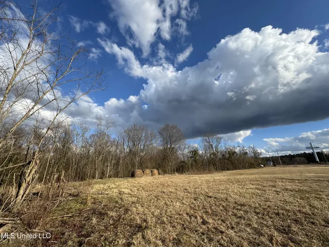 $750,000 | 0 Northeast Frontage Road, Winona, MS 38967