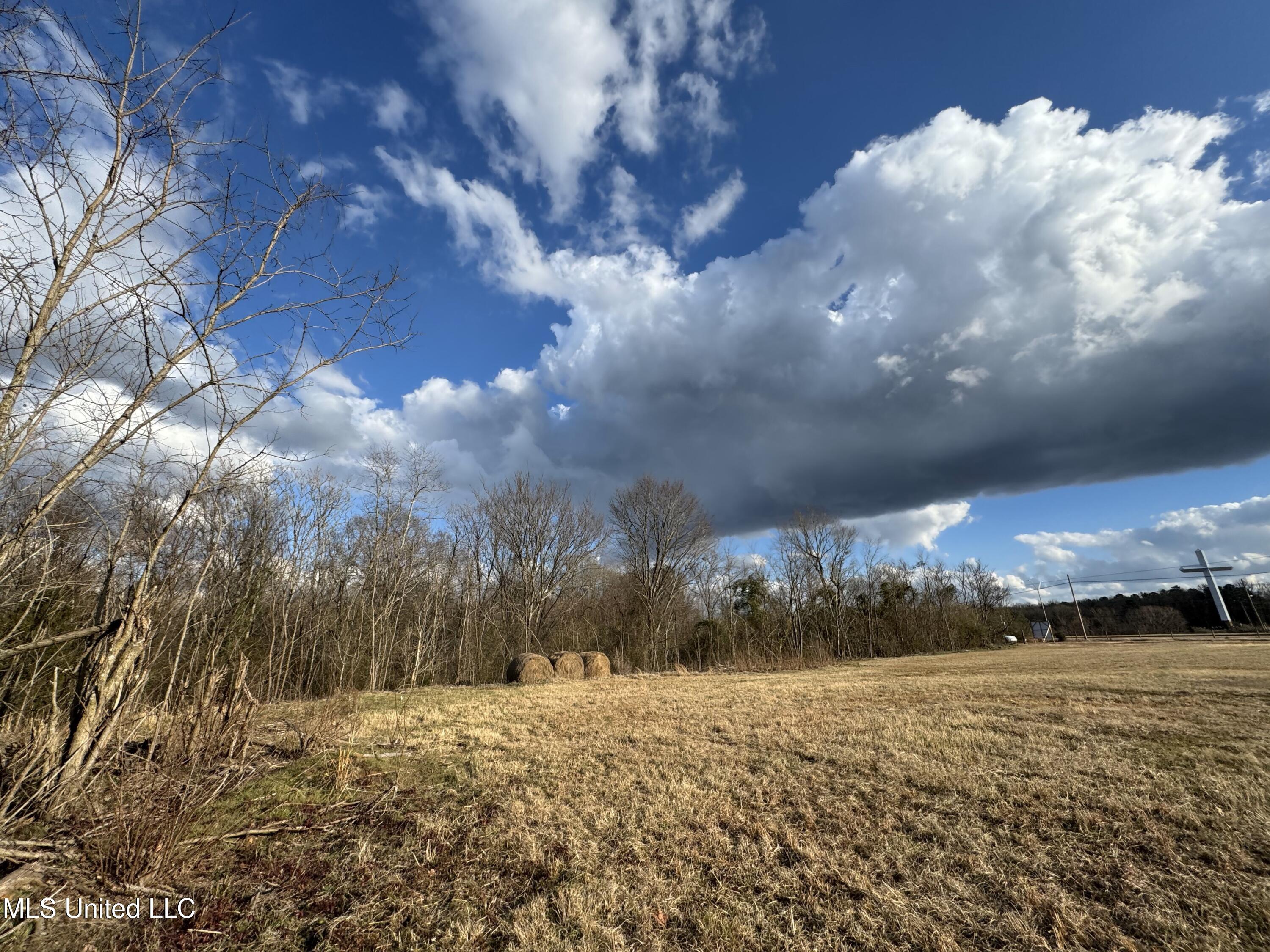 0 Northeast Frontage Road Winona, MS 38967 - Photo 20 of 30 IMG_1822
