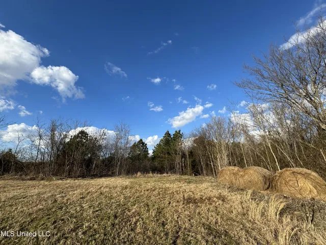 $750,000 | 0 Northeast Frontage Road, Winona, MS 38967