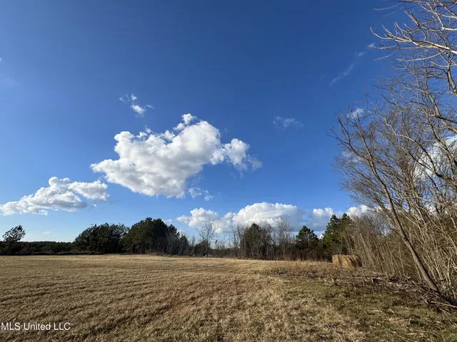 $750,000 | 0 Northeast Frontage Road, Winona, MS 38967