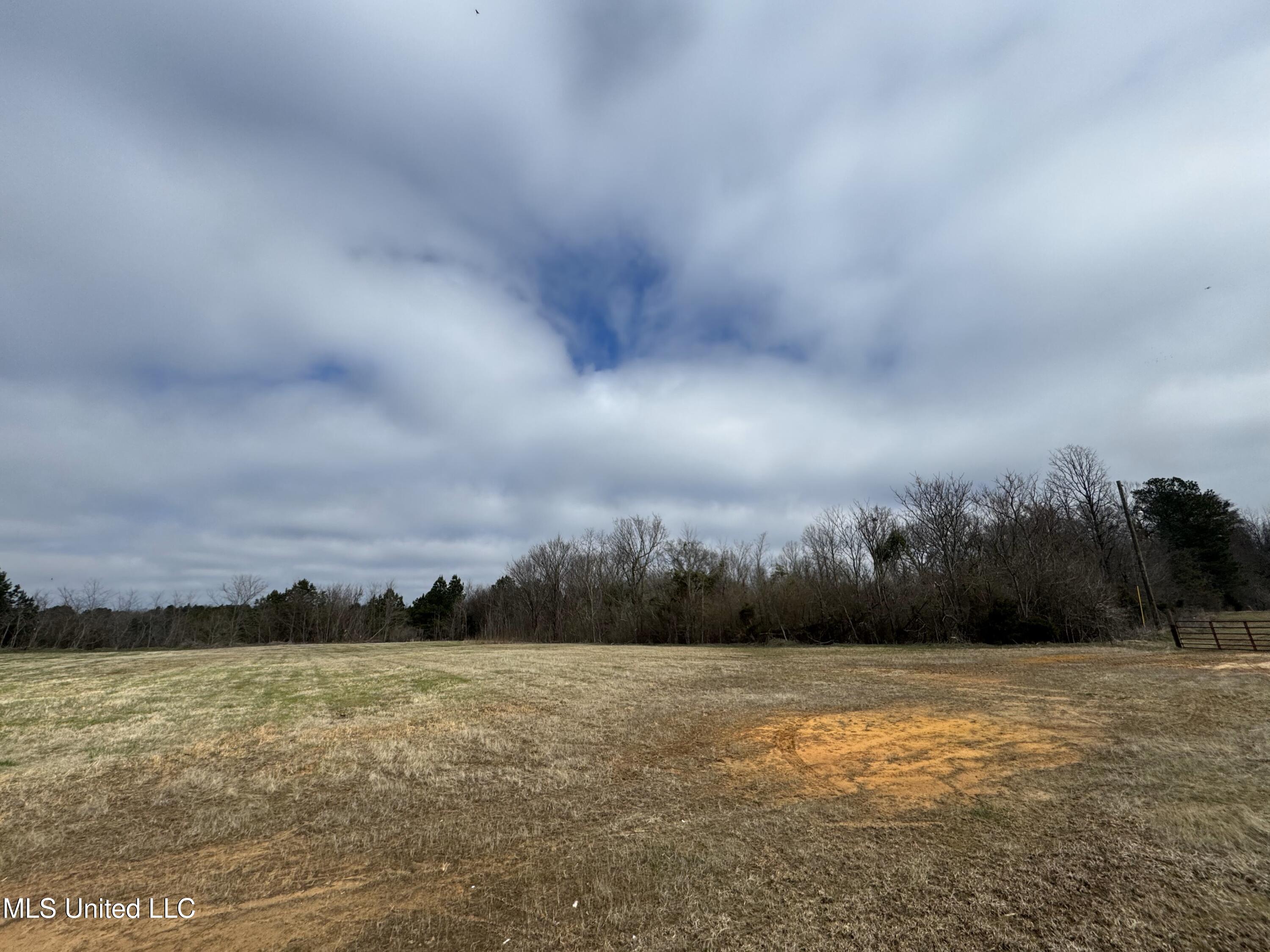 0 Northeast Frontage Road Winona, MS 38967 - Photo 24 of 30 IMG_1983