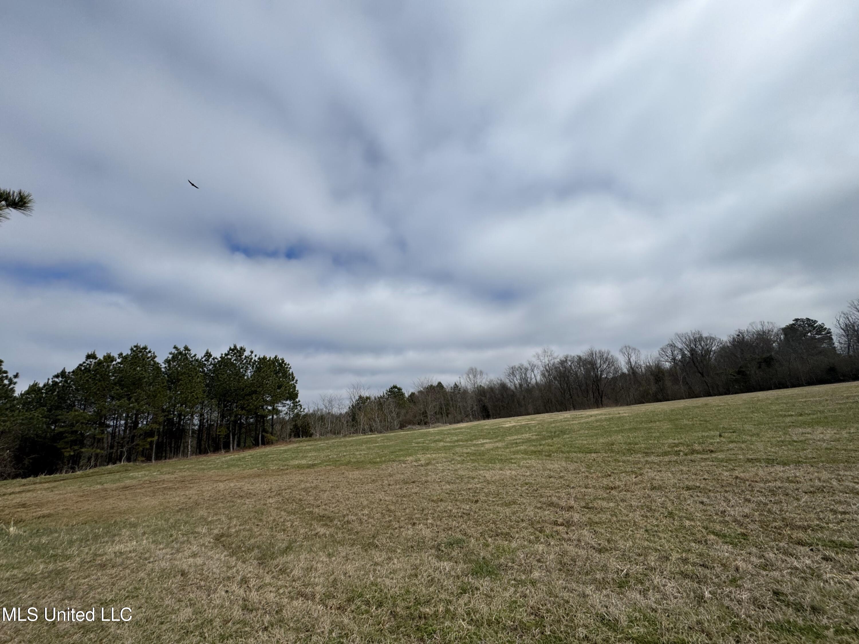 0 Northeast Frontage Road Winona, MS 38967 - Photo 25 of 30 IMG_1989