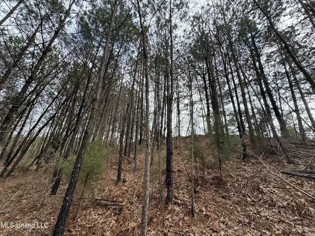 $750,000 | 0 Northeast Frontage Road, Winona, MS 38967