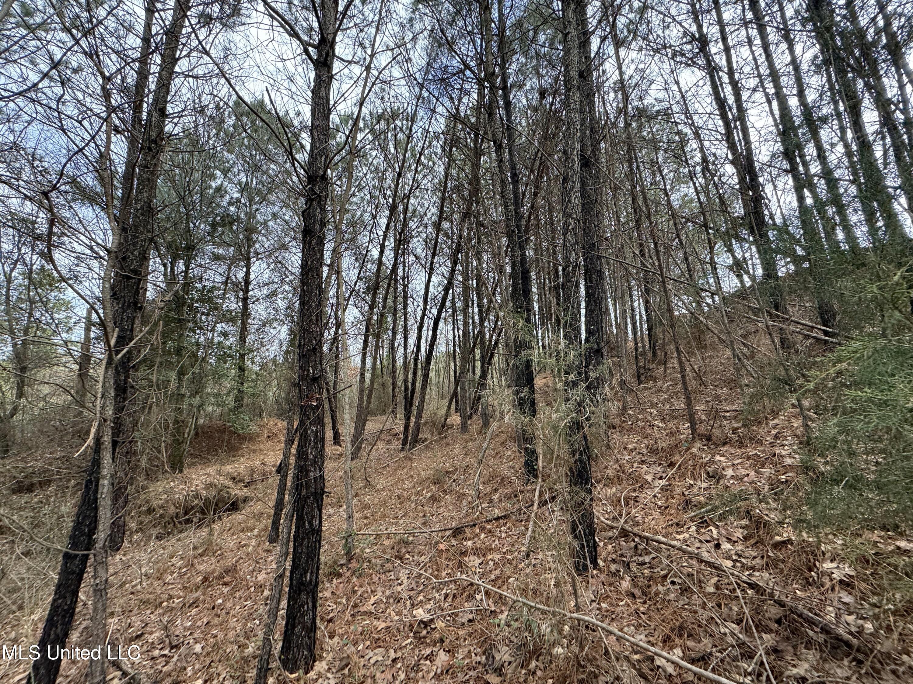 0 Northeast Frontage Road Winona, MS 38967 - Photo 27 of 30 IMG_1994