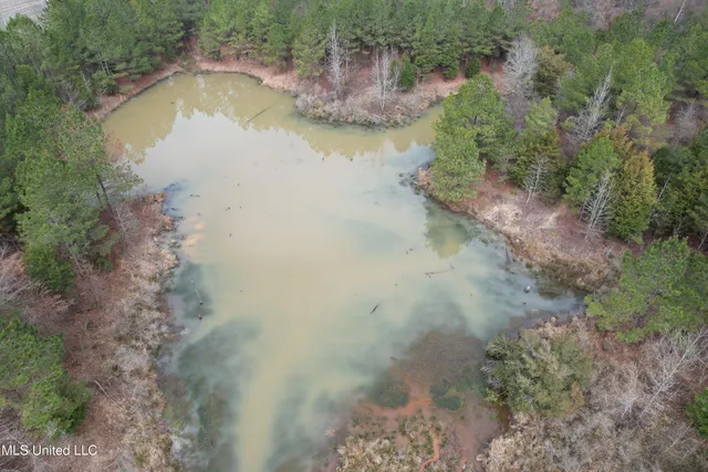 $750,000 | 0 Northeast Frontage Road, Winona, MS 38967