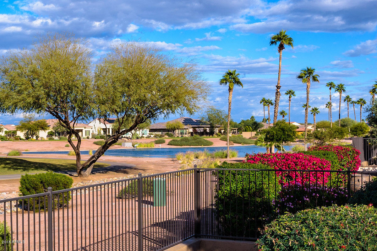 16768 West Berkeley Road Goodyear, AZ 85395 - Photo 5 of 34 Lake View