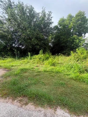 $88,000 | 0 Botany Lane, Houston, TX 77075