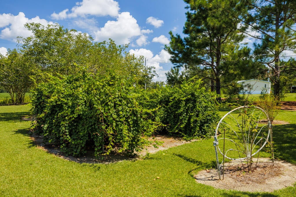 652-760 Griffin Road Barney, GA 31625 - Photo 89 of 126 Gallery Image 89
