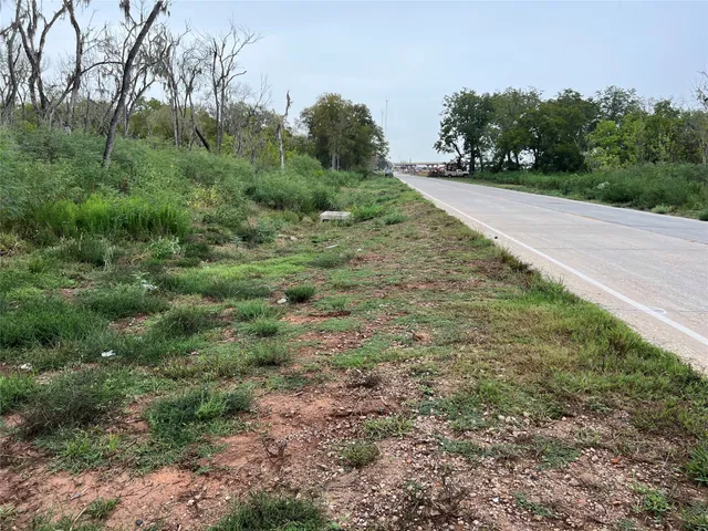 a view of a rural road with plants and trees