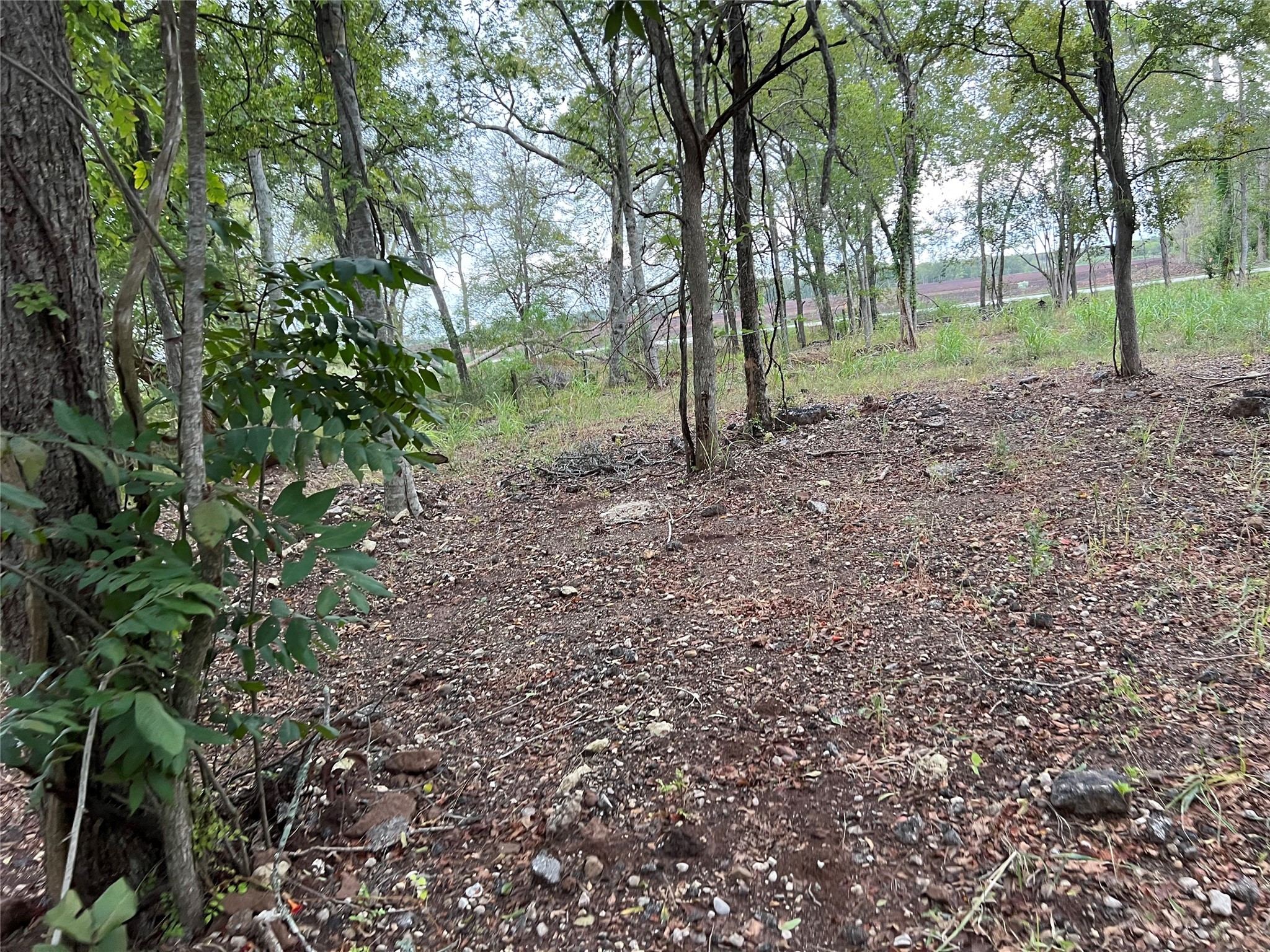 0 Knight Road Fresno, TX 77545 - Photo 11 of 11 a view of outdoor space and green space