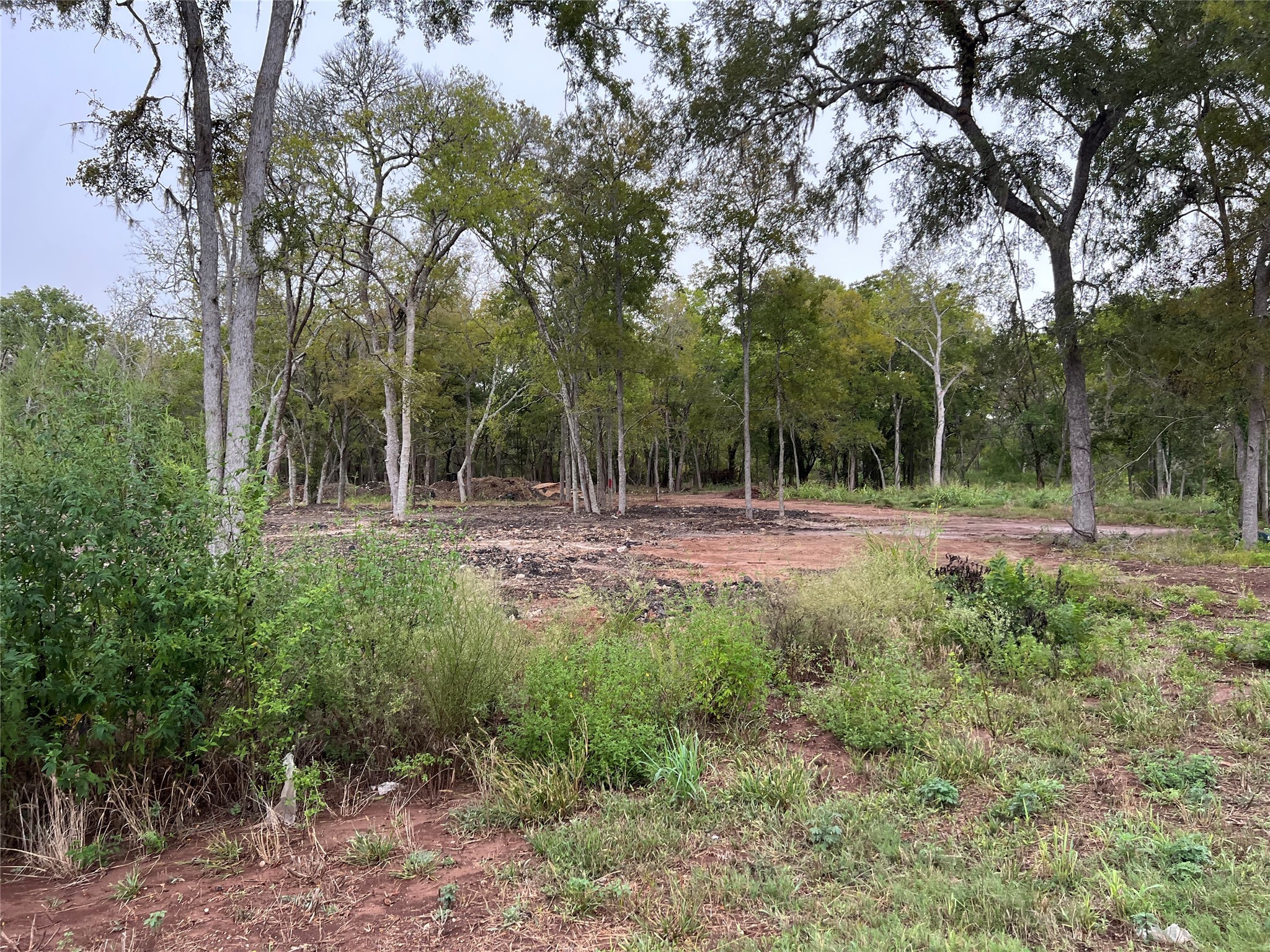 0 Knight Road Fresno, TX 77545 - Photo 3 of 11 a view of outdoor space with trees all around