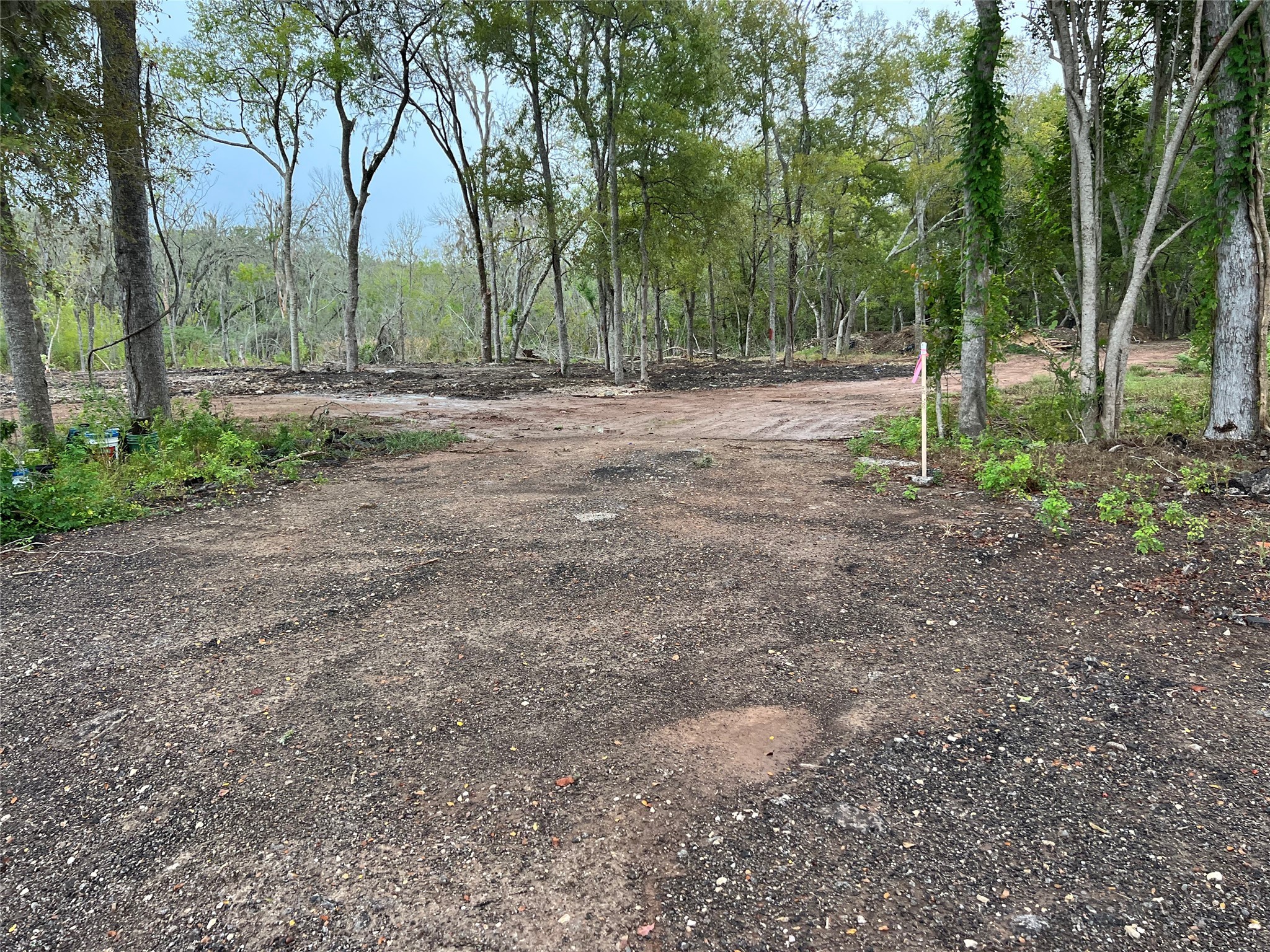 0 Knight Road Fresno, TX 77545 - Photo 5 of 11 a view of outdoor space with trees