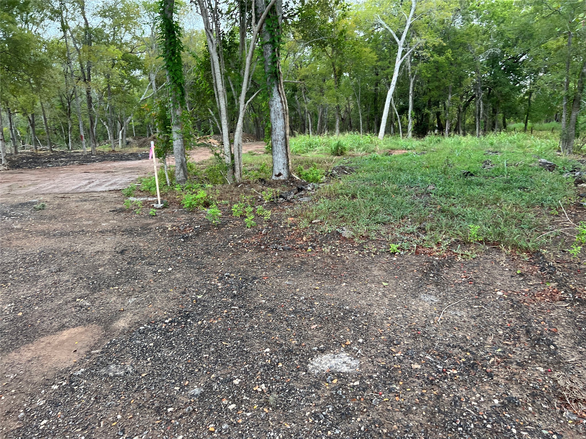 0 Knight Road Fresno, TX 77545 - Photo 6 of 11 a view of outdoor space with green space