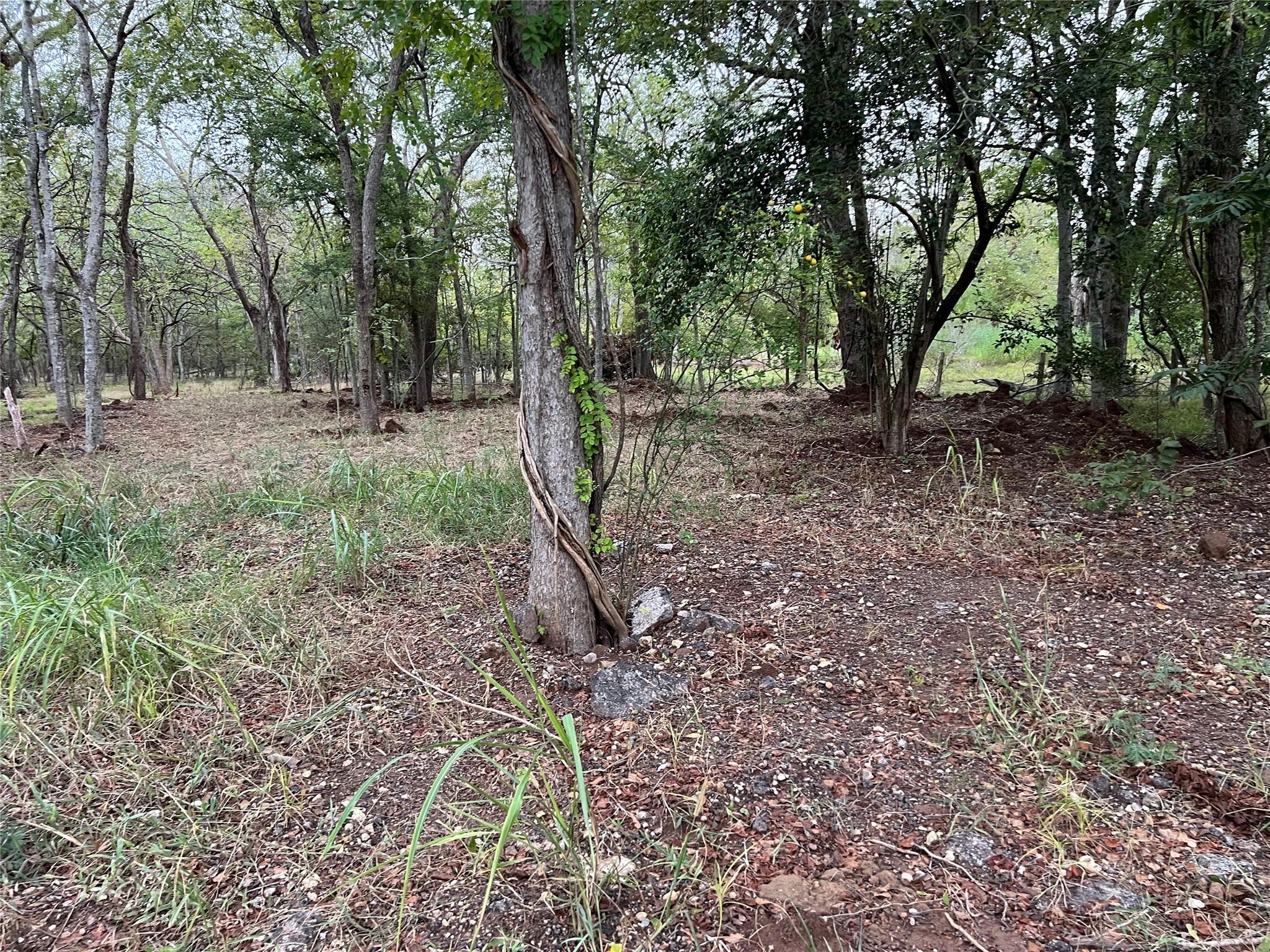 0 Knight Road Fresno, TX 77545 - Photo 8 of 11 a view of outdoor space with trees