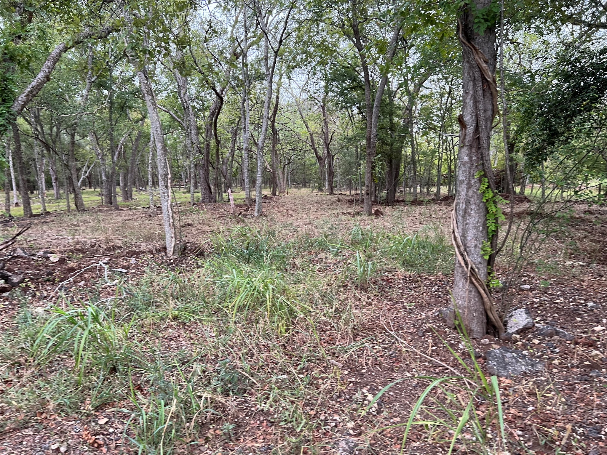 0 Knight Road Fresno, TX 77545 - Photo 9 of 11 a view of outdoor space with trees