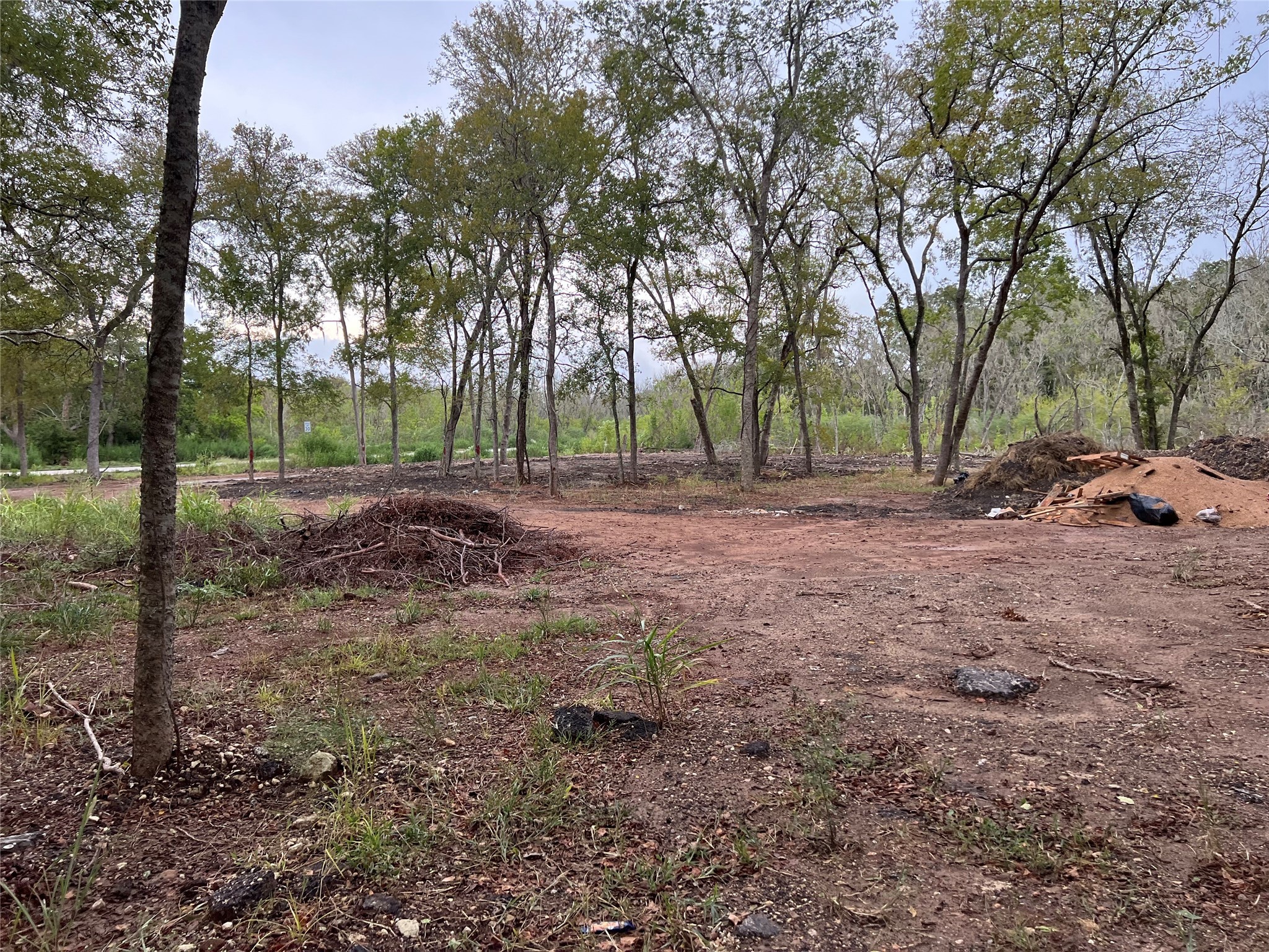 0 Knight Road Fresno, TX 77545 - Photo 10 of 11 a backyard of a house with lots of green space